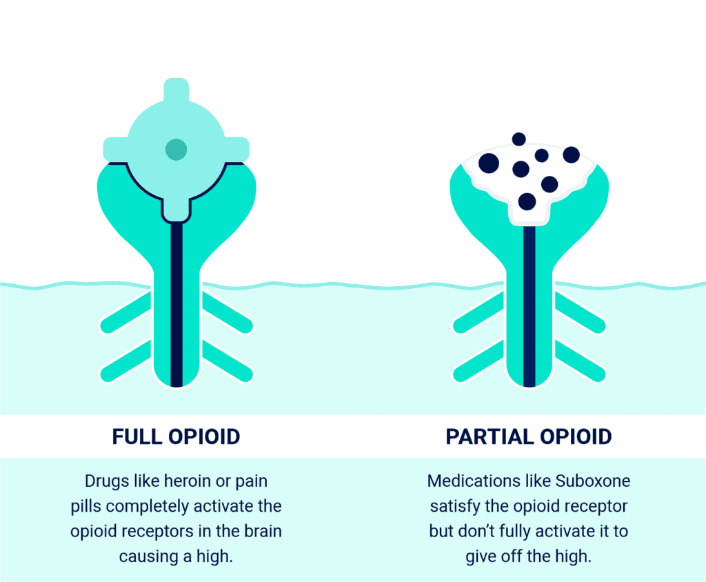 Full Opioid in the Receptor vs. Partial Opioid Not Fully Filling the Opioid Receptor