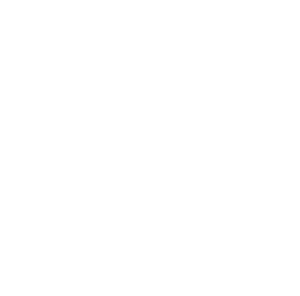 Fox News Channel National Logo