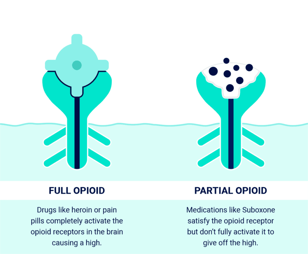 Full Opioid in the Receptor vs. Partial Opioid Not Fully Filling the Opioid Receptor
