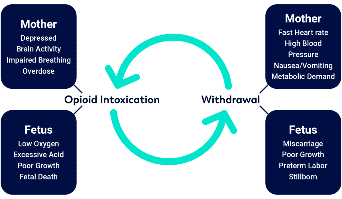 List of Serious Side Effects for Mother and Fetus for Opioid Use and Withdrawl